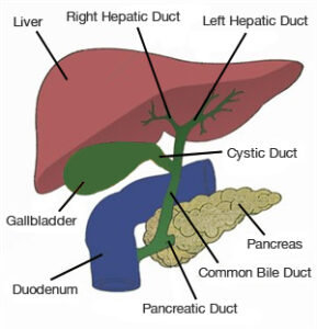 Liver transplant surgeon in Pune