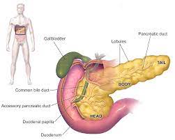 Liver cirrhosis treatment in Pune