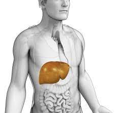 Liver disease treatment in Pune