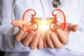 Kidney transplant in Pune