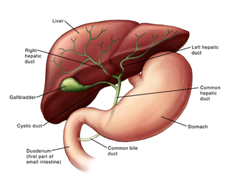 Liver transplant surgeon in Pune