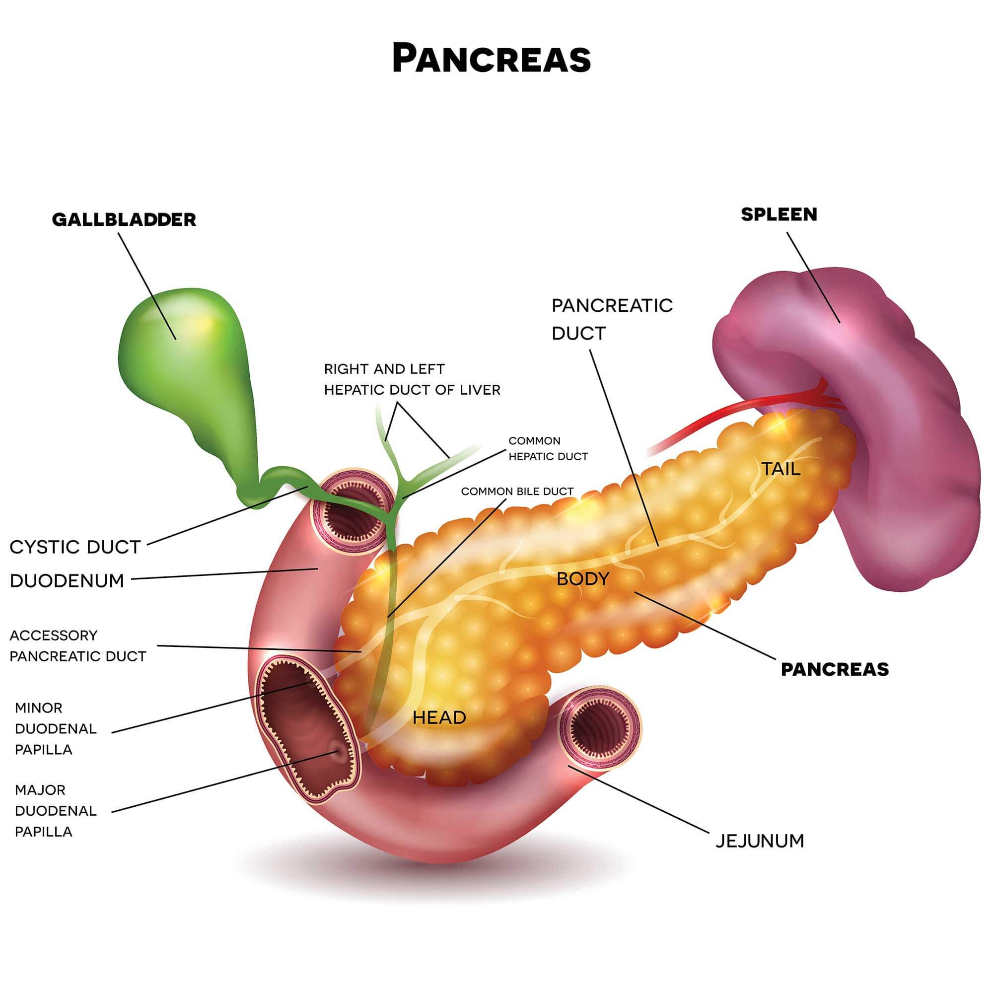 Liver cirrhosis treatment in Pune