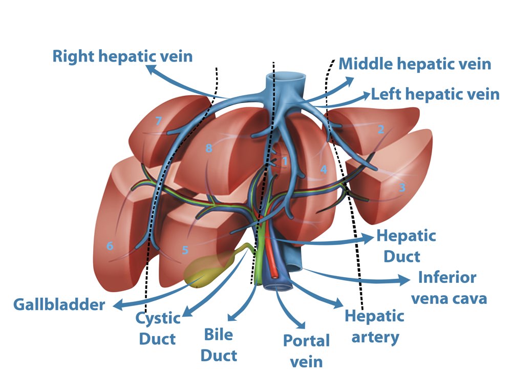 Liver cirrhosis treatment in Pune