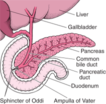 Liver transplant surgeon in Pune