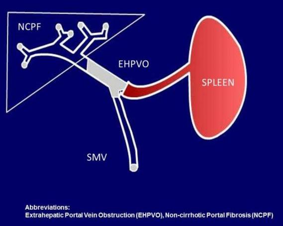 ch4354.fig1_ (1)